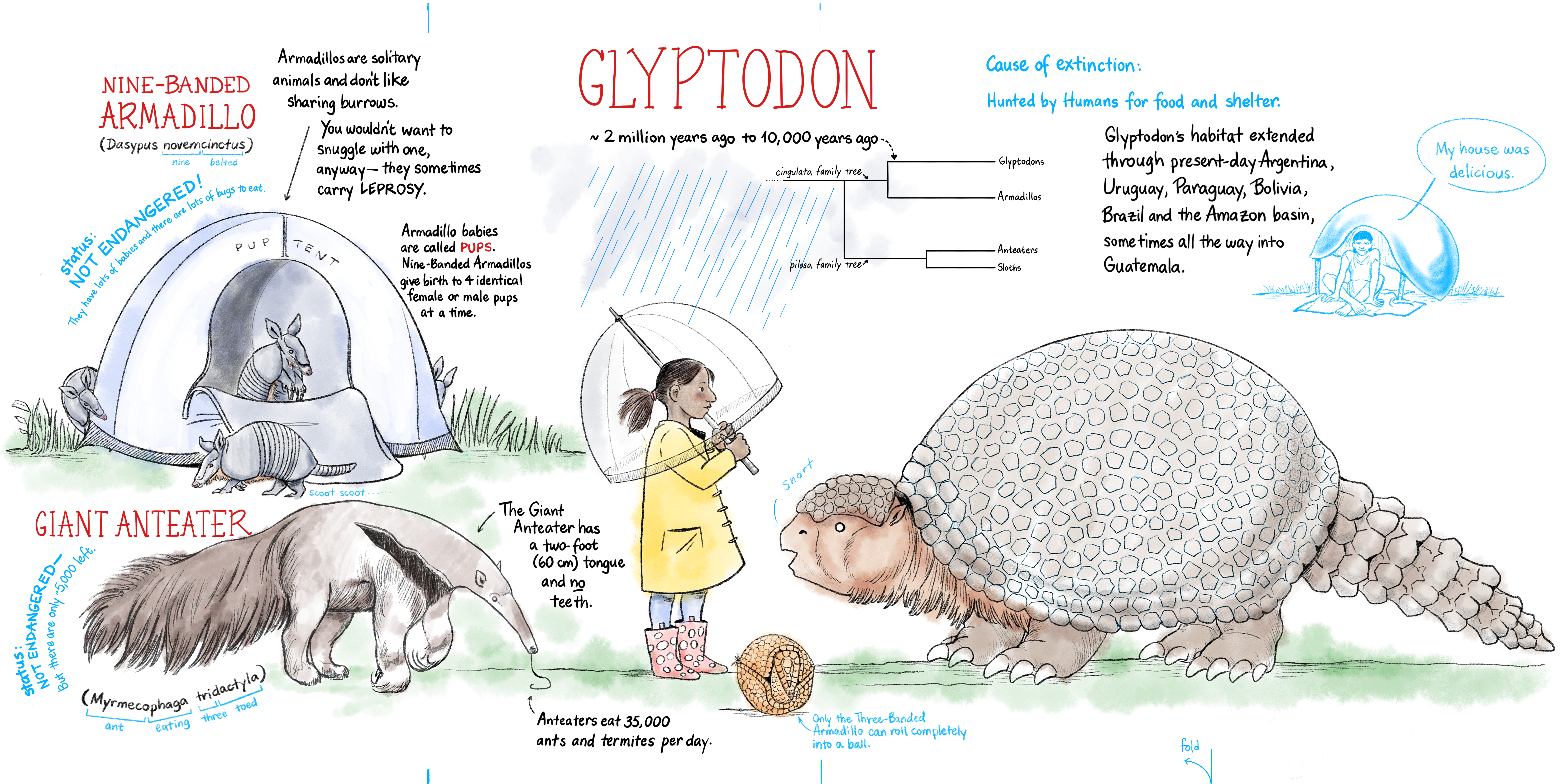 MEGA Megafauna: Glyptodon